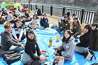 和交流會一起在大阪城公園賞櫻野餐🌸還跟宅電執行長聊天了😆